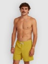O'Neill Vert 16'' Boardshorts
