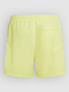 O'Neill Vert 16'' Boardshorts