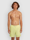 O'Neill Vert 16'' Boardshorts