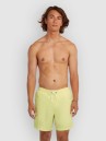O'Neill Vert 16'' Boardshorts