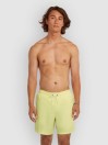 O'Neill Vert 16'' Boardshorts