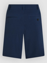 O'Neill O'Neill Hybrid 19″ Shorts