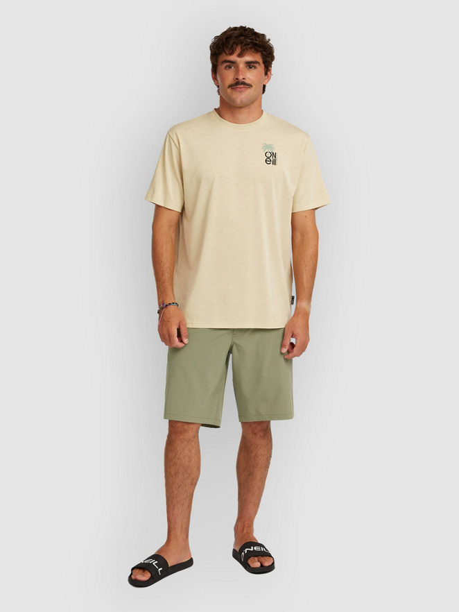 O'Neill O'Neill Hybrid 19″ Shorts