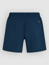 O'Neill Logo 16'' Boardshorts