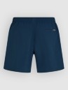 O'Neill Logo 16'' Boardshorts