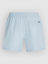 O'Neill Logo 16'' Boardshorts