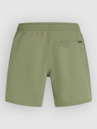 O'Neill Logo 16'' Boardshorts