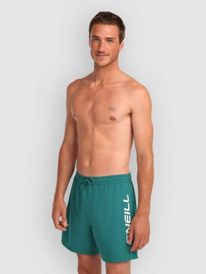 O'Neill Logo 16'' Boardshorts