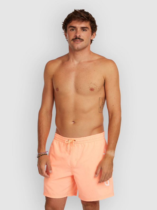 O'Neill Logo 16'' Bañador