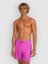 O'Neill Logo 16'' Boardshorts