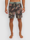 O'Neill Cruzer Scallop 18 Boardshorts