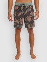 O'Neill Cruzer Scallop 18 Boardshorts