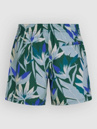 O'Neill Print 16'' Boardshorts