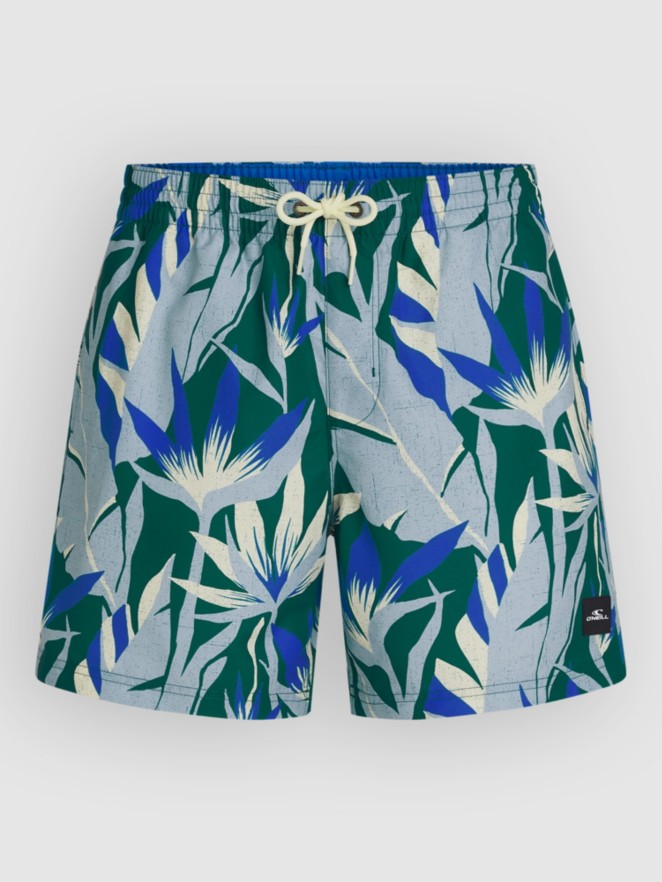 O'Neill Print 16'' Boardshorts