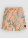 O'Neill Print 16'' Boardshorts