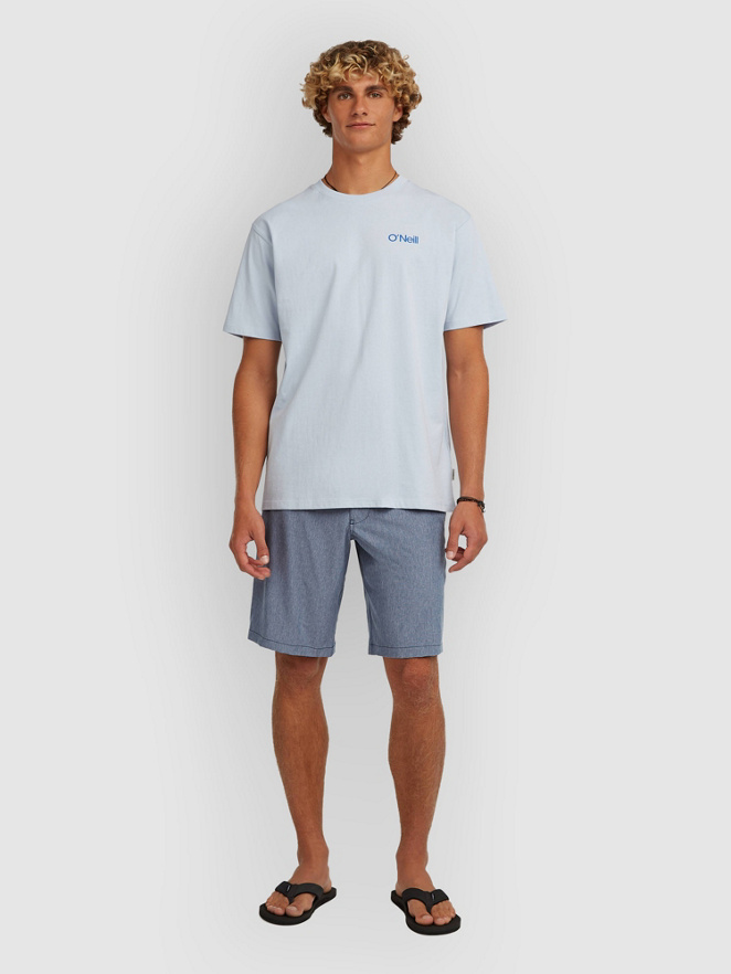 O'Neill O'Neill Hybrid 19″ Melange Pantaloncini