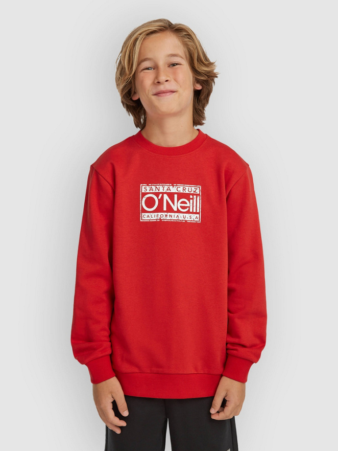 O'Neill Cali Crew Kids Sweater