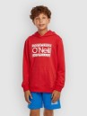 O'Neill Cali Kids Hoodie