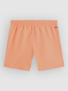 O'Neill Cali Kids Boardshorts