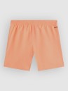O'Neill Cali Kids Boardshorts