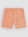 O'Neill Cali Kids Boardshorts