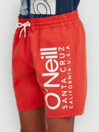 O'Neill Cali Kids Boardshorts