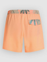 O'Neill Pocket Print 16″ Boardshorts