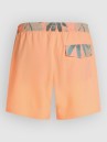 O'Neill Pocket Print 16″ Boardshorts