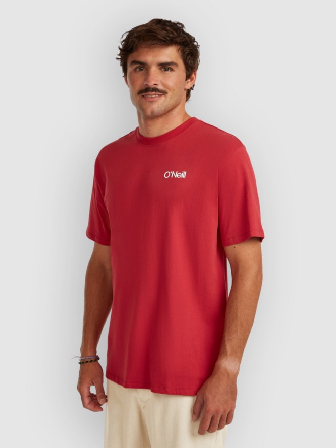 O'Neill Polygiene Cotton Graphic T-Shirt