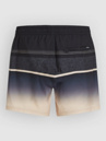 O'Neill Gradient 15'' Boardshorts