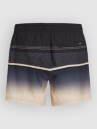 O'Neill Gradient 15'' Boardshorts