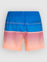 O'Neill Gradient 15'' Boardshorts