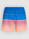 O'Neill Gradient 15'' Boardshorts