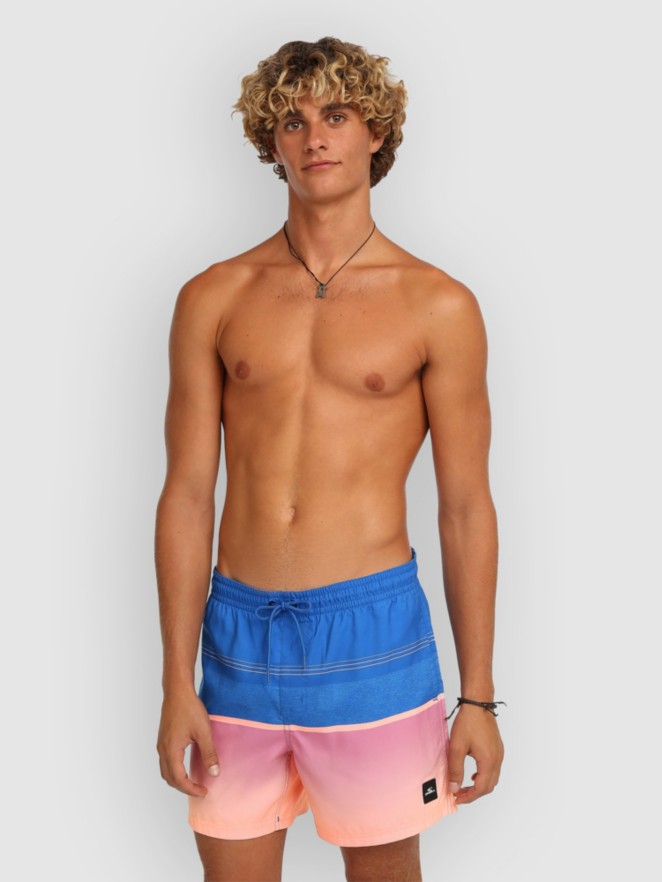 O'Neill Gradient 15'' Boardshorts