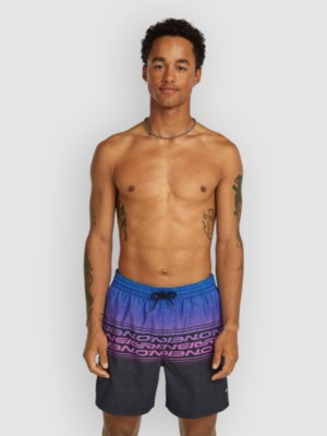 O’Neill Logo Stripe 16” Boardshorts patroon Blauw Heritage Oneill S