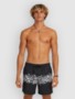 black tropical stripe