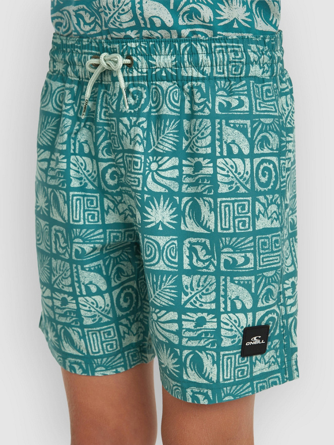 O'Neill Print Kids Boardshorts