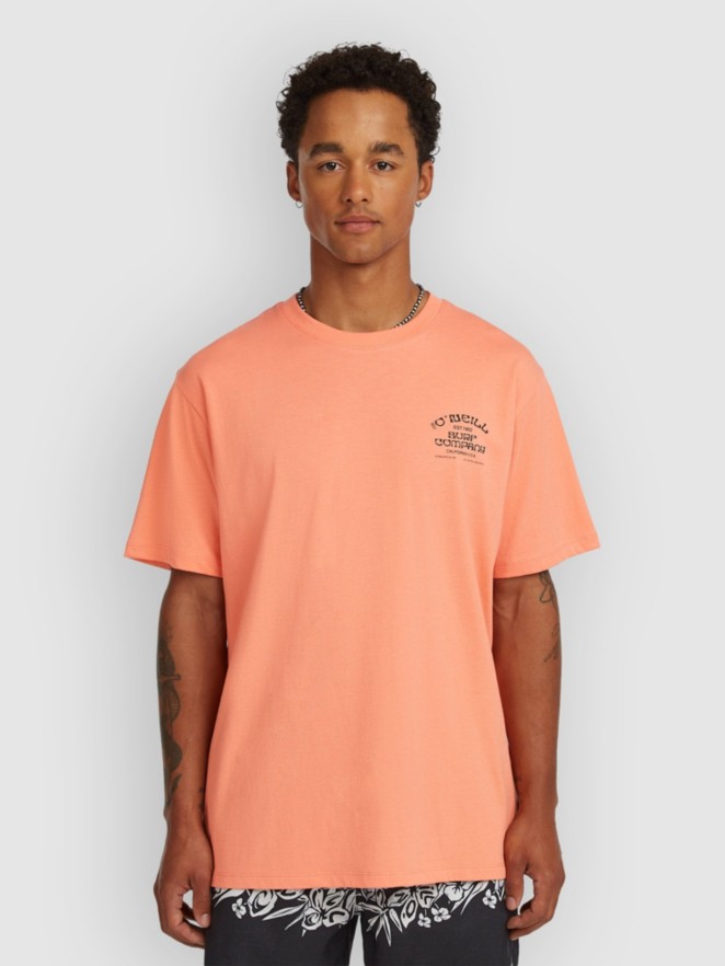 O'Neill Melange Chest Print T-Shirt