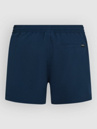 O'Neill Retro 14'' Boardshorts