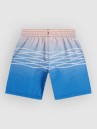 O'Neill Print Kids Boardshorts