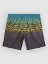 O'Neill Logo Stripe Kids Boardshorts