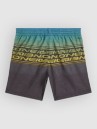 O'Neill Logo Stripe Kids Boardshorts