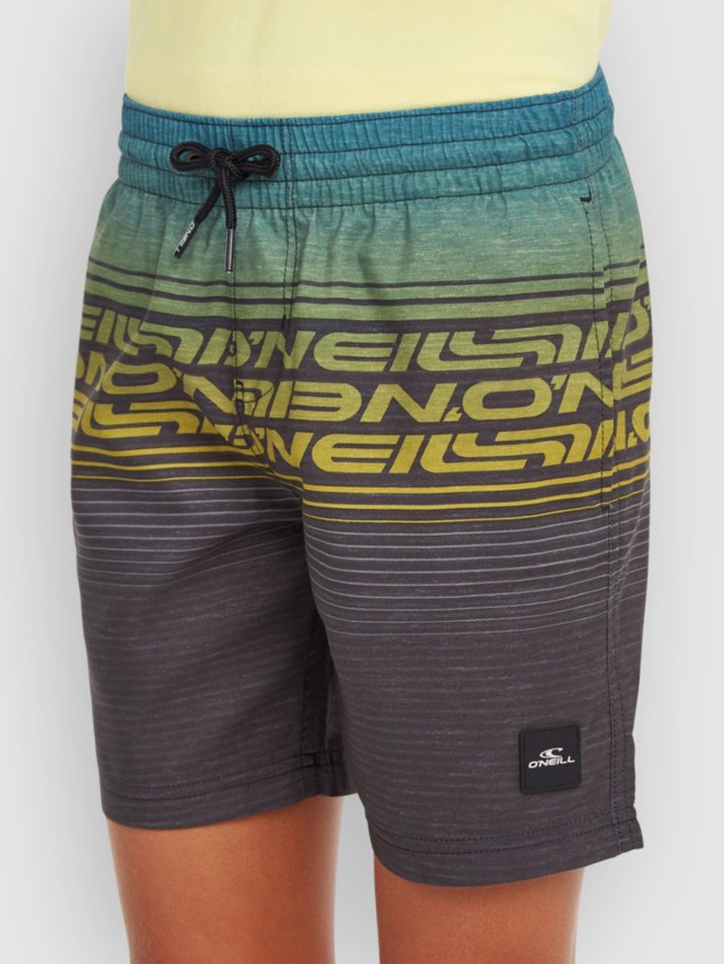 O'Neill Logo Stripe Kids Boardshorts