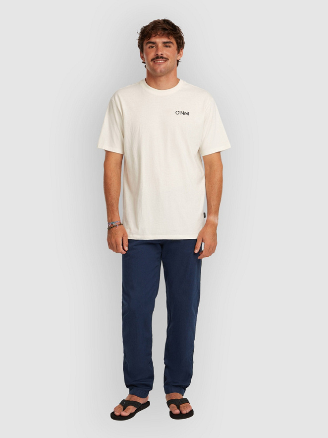 O'Neill Essentials Chino Pants