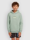 O'Neill Graphic Kids Hoodie