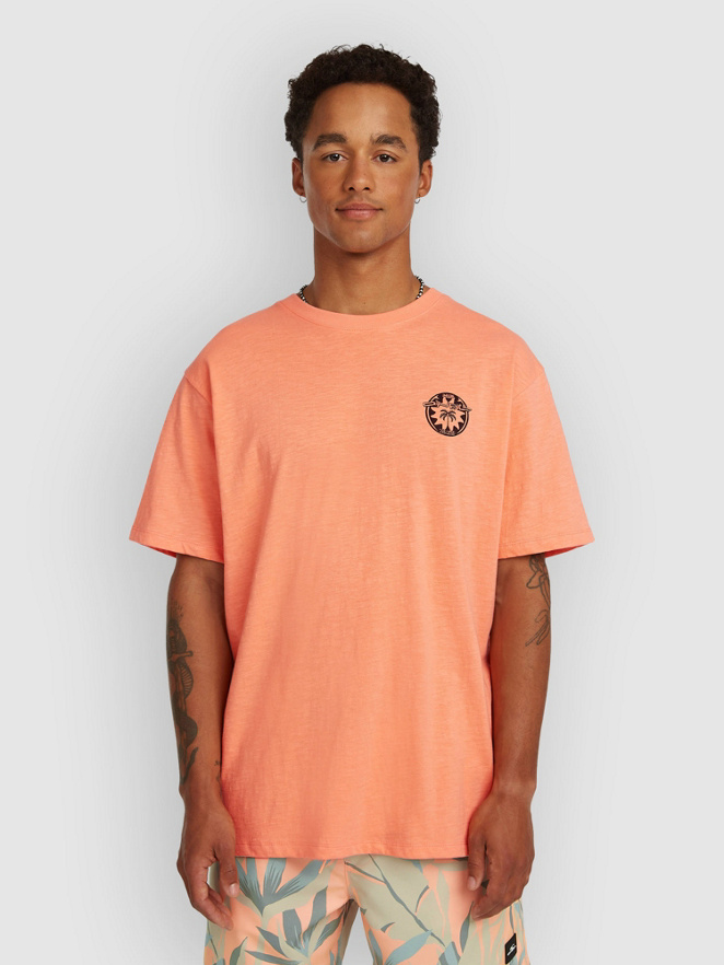 O'Neill Slub Back Print T-Shirt