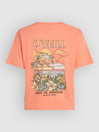 O'Neill Boxy Back Print T-Shirt