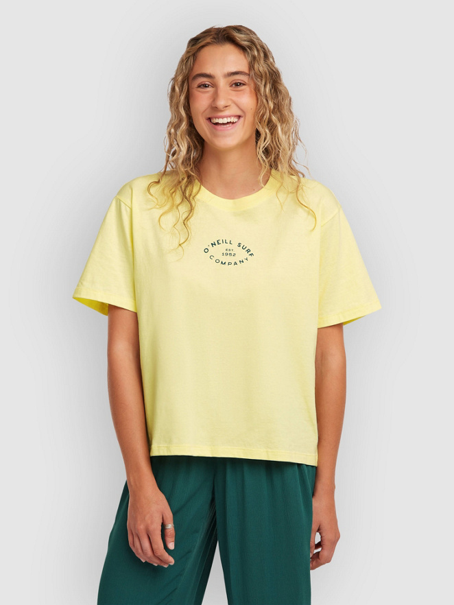 O'Neill Boxy Back Print T-Shirt