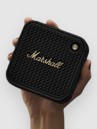 Marshall Willen II Speaker