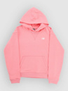 New Balance French Terry Small Logo Kids Hoodie